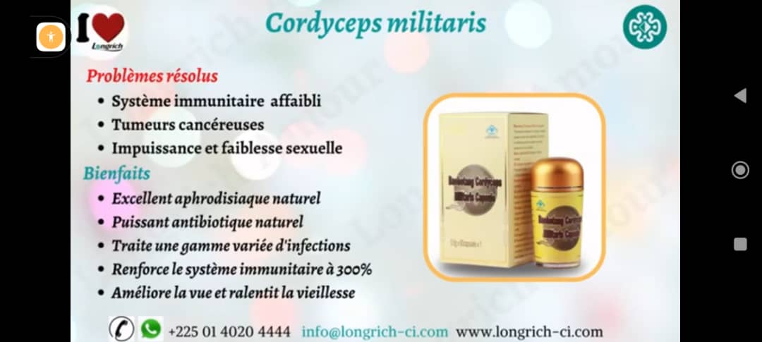 Cordyceps militaris