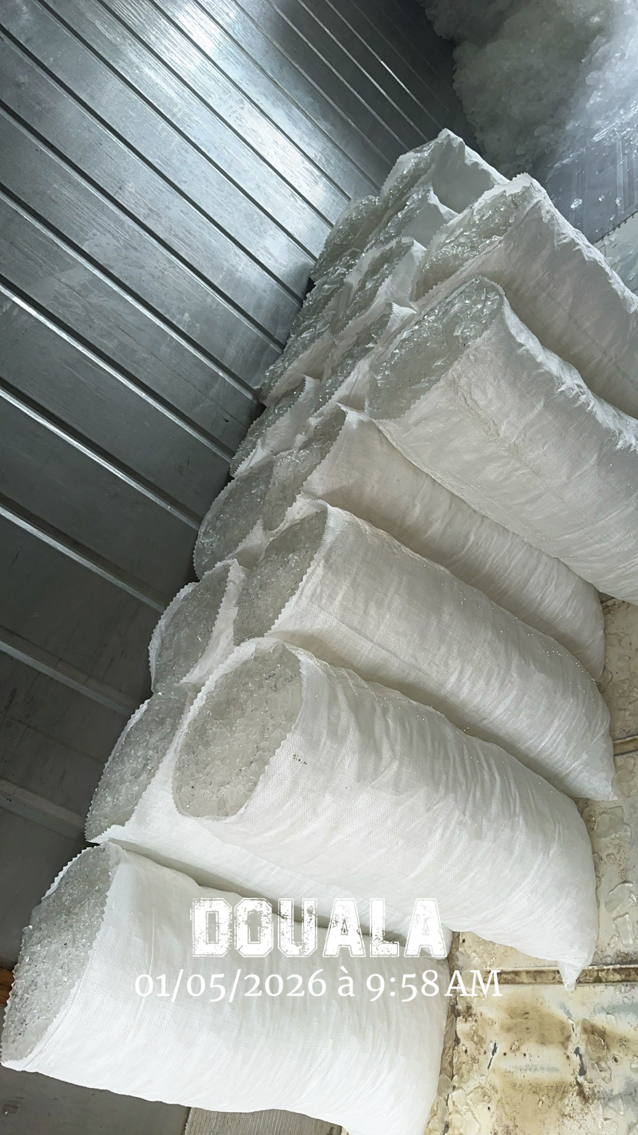 Glace pilée (sac de 50kg)